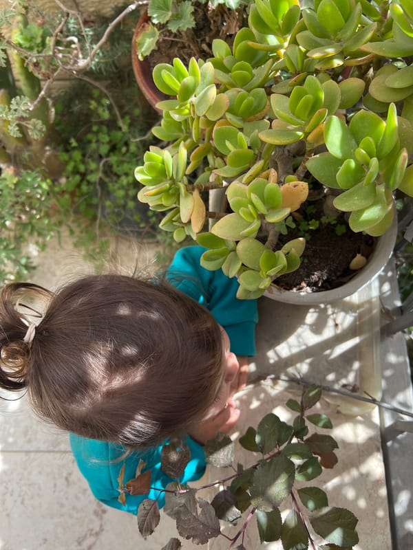 Child's morning activities captured in Jerusalem home settings