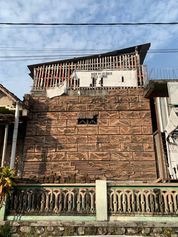 Kitten playtime and rural life in Tanjungsepreh, Indonesia