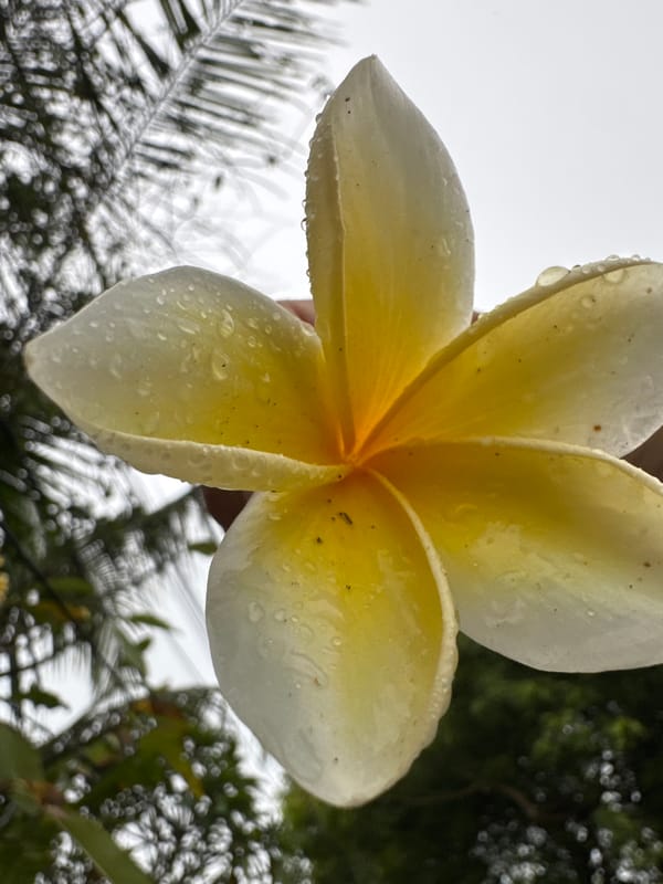 Tourist captures tropical flowers and portraits in rainy Kuta