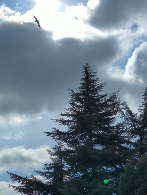 Mixed cloud formations documented over Varna, Bulgaria morning sky
