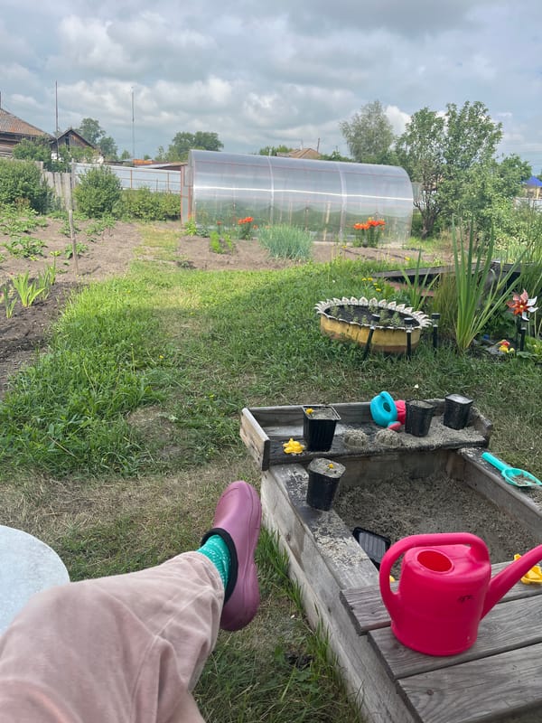 Morning garden scenes in Sukhrinskoye village, Russia