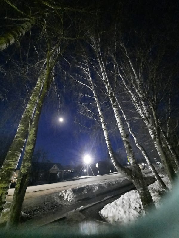Everyday moments captured across Krasnogorskoye, Russia