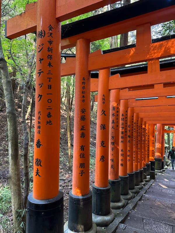 Tourist captures classic tunnel view at Kyoto's Fushimi Inari shrine