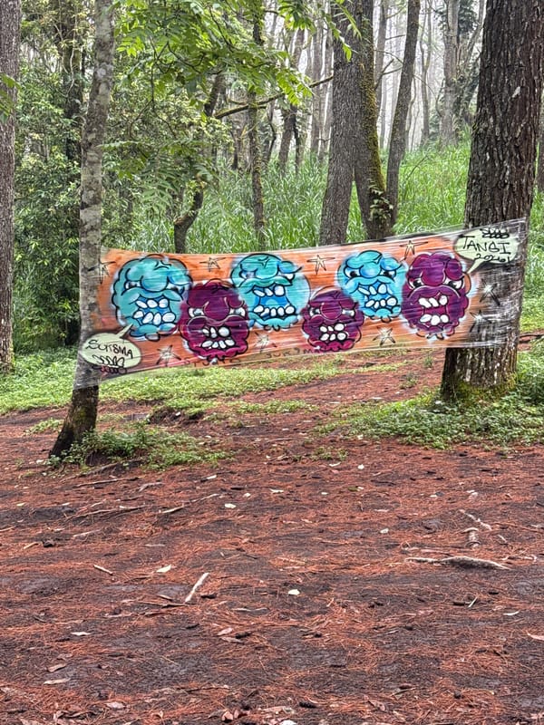 Forest art installations documented in Kintamani, Indonesia