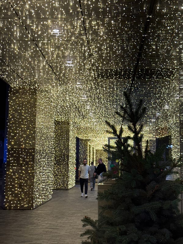 Moscow street glows with string lights on a summer night