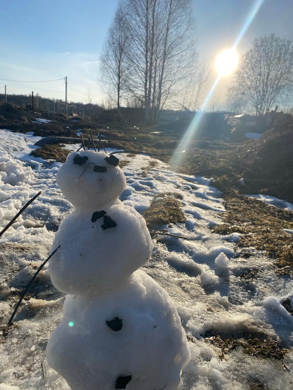 Spring scenes and household curiosities documented across Izhevsk