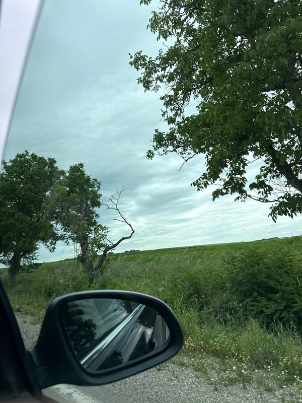 Driver travels gravel road through green countryside near Lovech