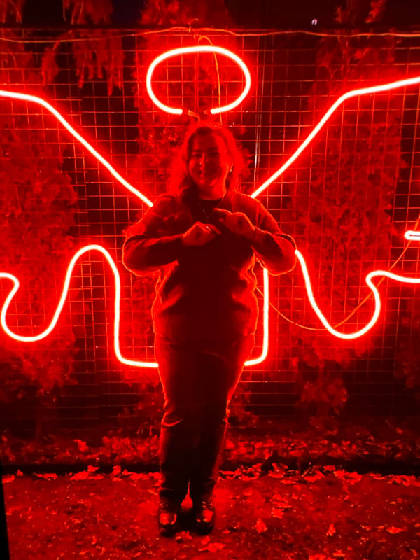 Neon angel wings and a geodesic dome evening
