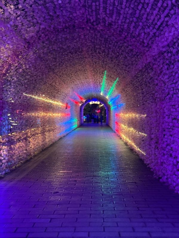 Flower-covered illuminated tunnel draws visitors in Wulingyuan, China
