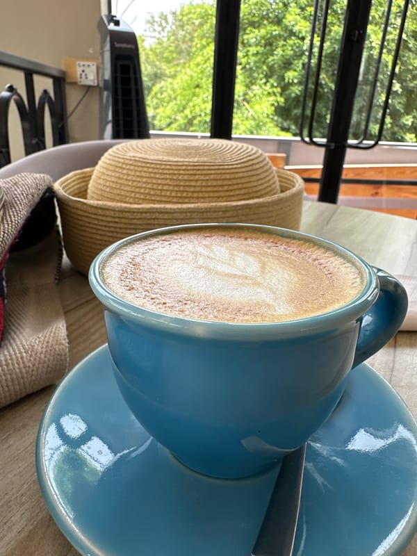 Morning coffee with a Taj Mahal garden view, Agra