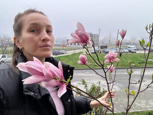 Woman touches blooming magnolia tree in Novorossiysk