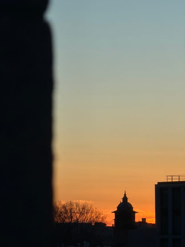 Domestic scene with flowers, toy, shopping box documented in Riga