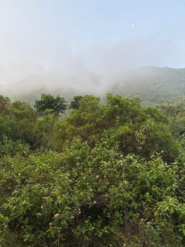 Foggy mountain landscape documented at Vietnam heritage site