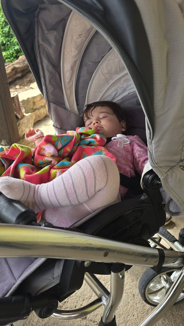 Child sleeps peacefully in stroller in Bulgarian village