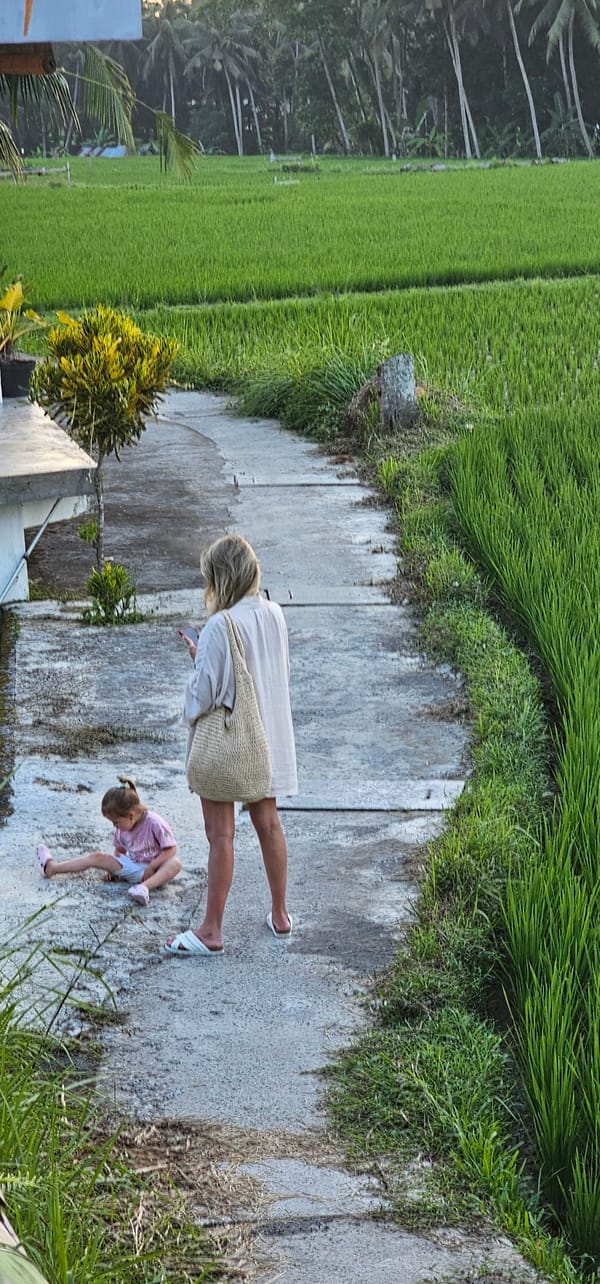 Tourist documents Tegallalang rice terraces and daily life scenes