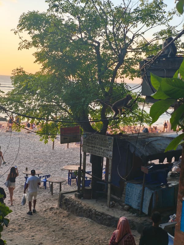 Bali clifftop beach at sunset: crowds, macaques, and golden light