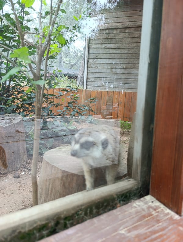 Morning scenes from Dokuma Park in Kepez, Turkey documented