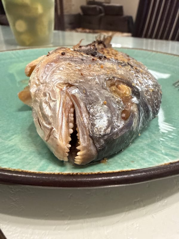 Fish lunch, a yawning cat, and selfies in Odesa