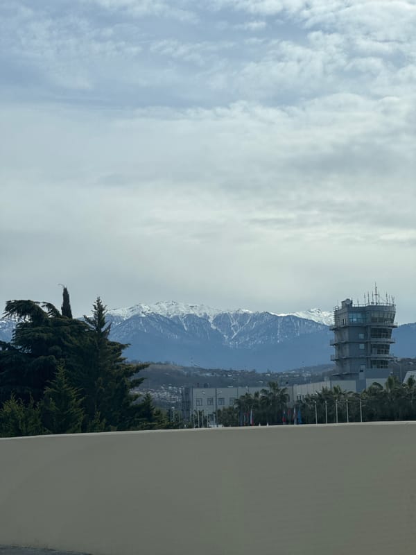 Mixed landscape view captured in Sochi showing mountains and buildings