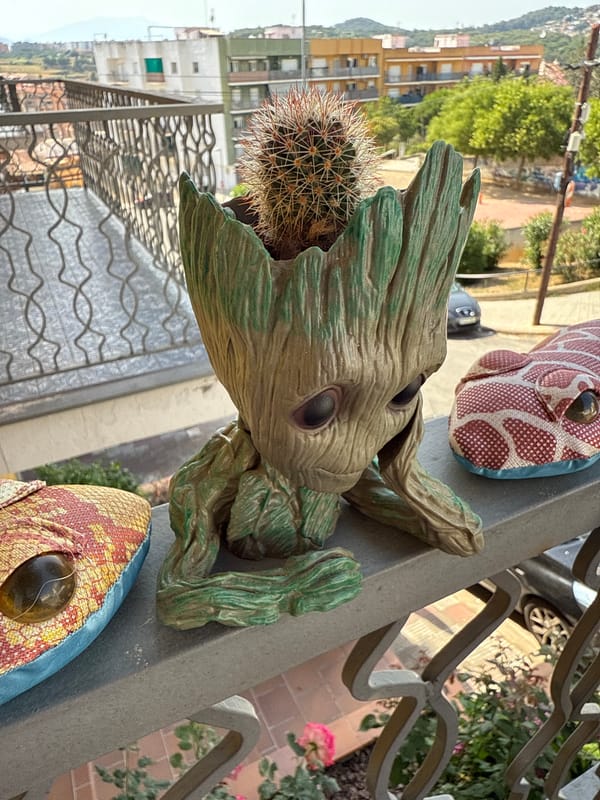 Balcony cactus and succulent collection in Blanes, Spain