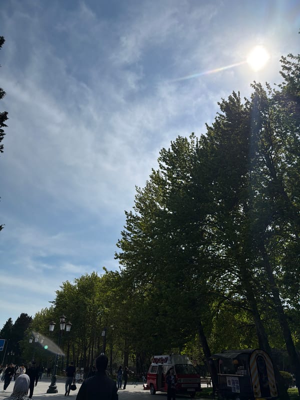 Sunny morning documented on tree-lined Baku promenade