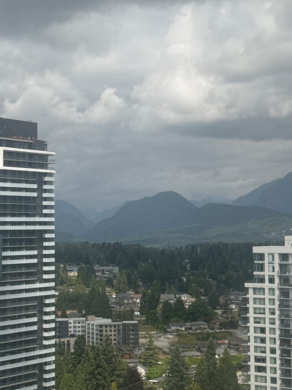 High-rise views over Coquitlam with mountains and lavender