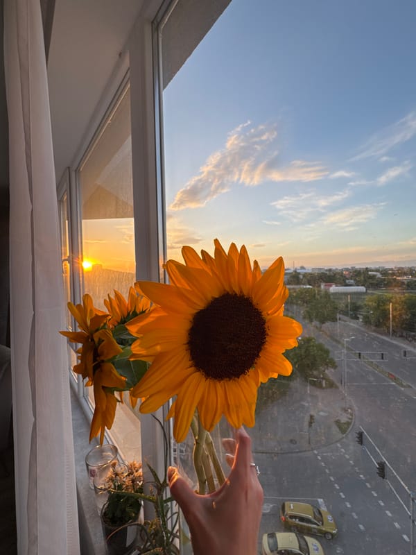 Quiet evening at home documented in Plovdiv apartment