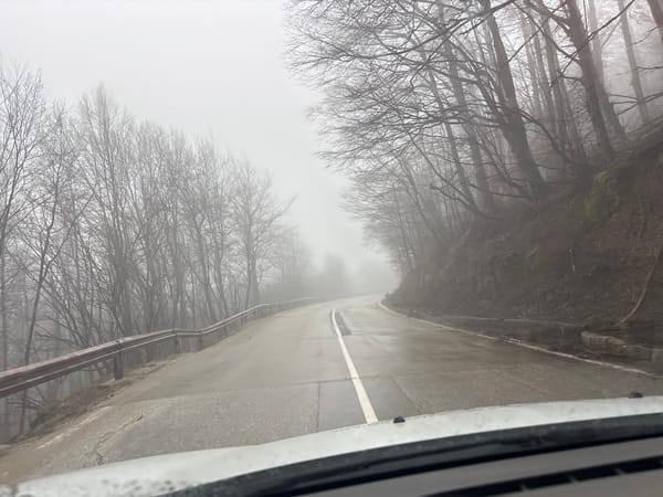 Dense fog blankets winding forest road in Charkovo, Bulgaria