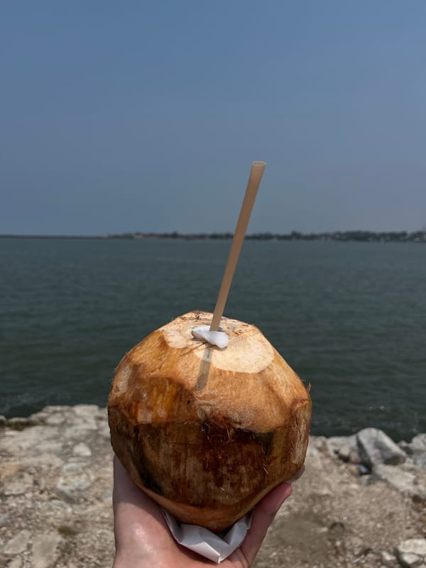 Coconut drink enjoyed at Coatzacoalcos waterfront