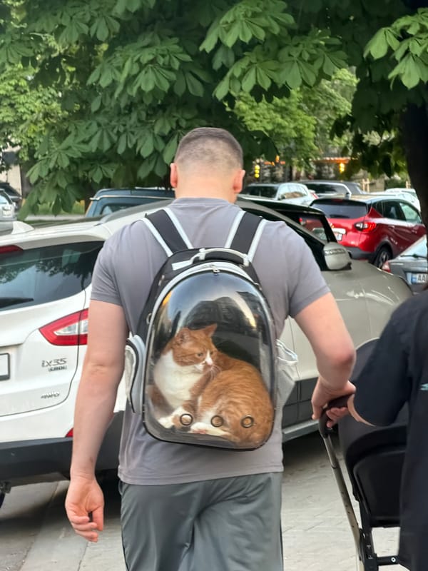 Man walks cat in backpack through Chișinău streets