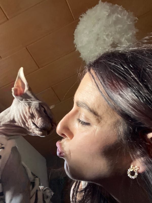 Woman shares tender moments with cat and horse in Germany