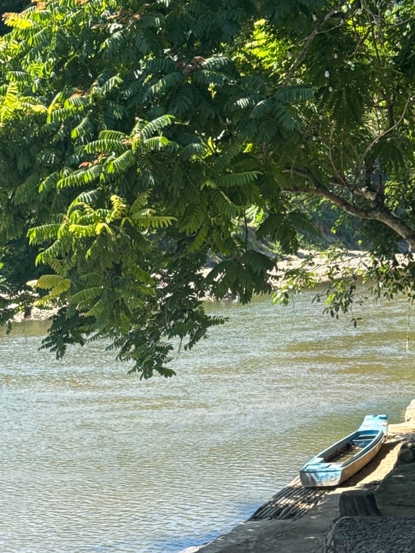Rustic riverside park in Nam Khanh Vinh, full of stone sculptures and greenery
