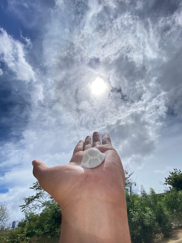 Young man collects seashells, plays baseball in Juan Griego