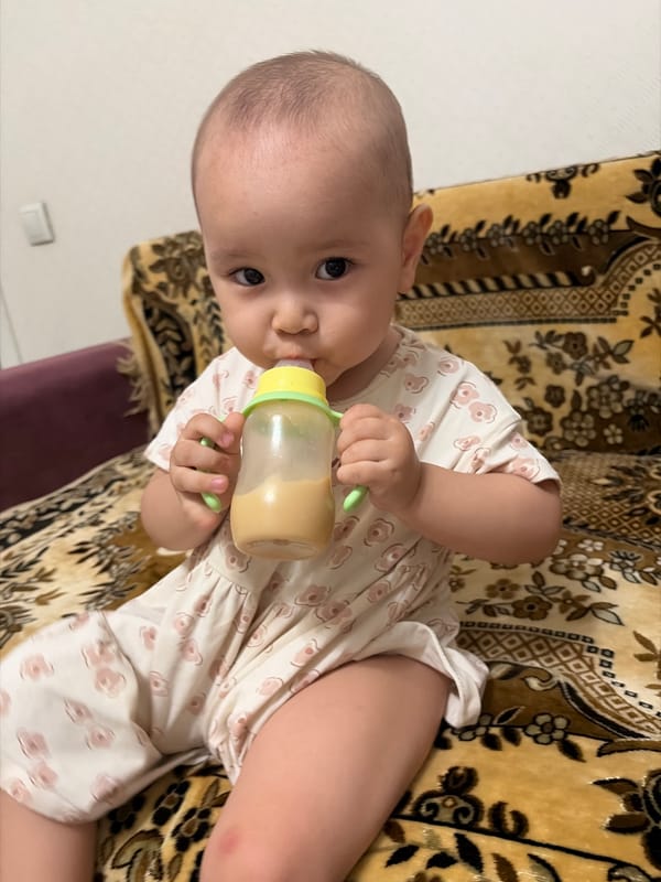 Home gathering in Astana: baby, food spread, car display