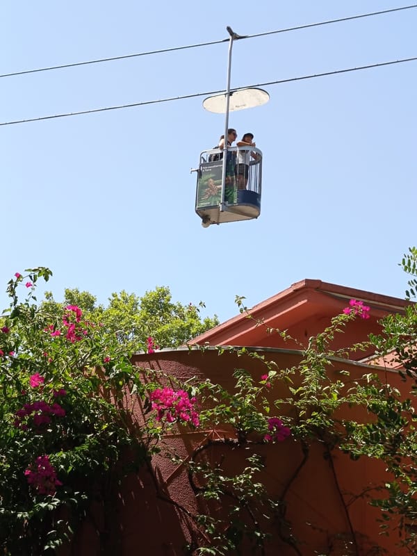 Morning exploring Lisbon's parks, cable cars, and peacocks