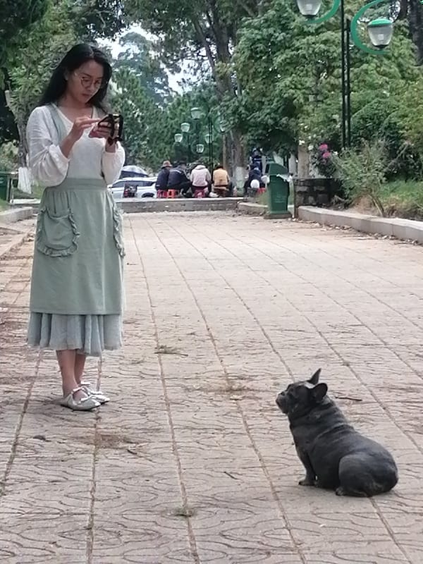 Morning life unfolds across Da Lat parks and streets