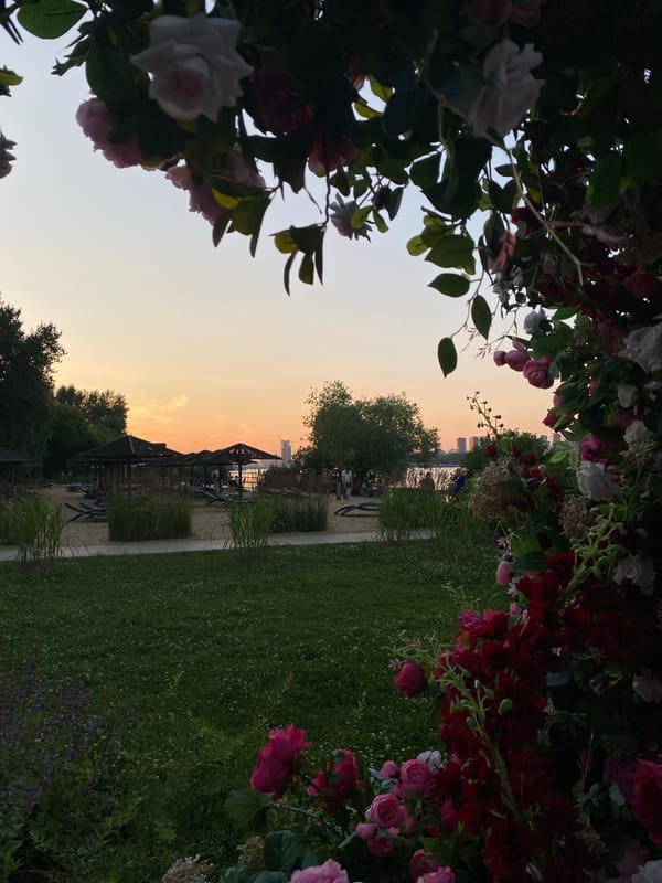 Summer evening at Khimki Reservoir: beach, gardens, and open-air cinema