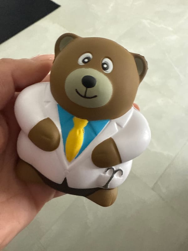 Toy doctor bear photographed in Davie home