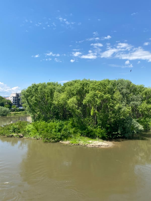 River scene with vegetation documented in Plovdiv, Bulgaria