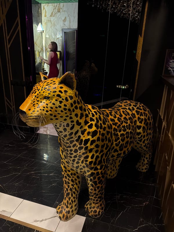 Leopard statue and jungle-themed stage performance observed in Kazan