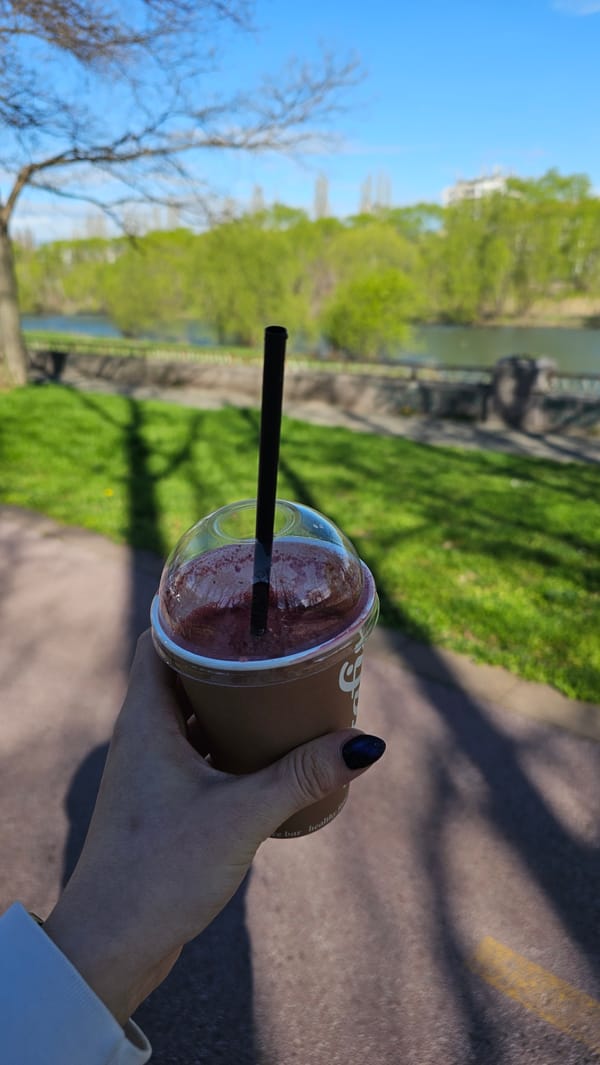 Morning smoothie enjoyed along Maritsa River in Plovdiv