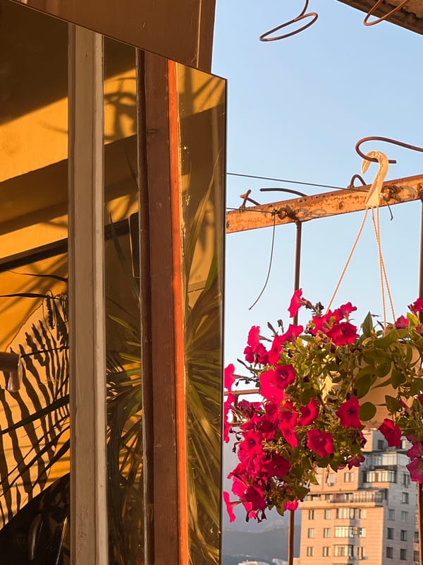 Balcony petunias and Almaty's skyline at golden hour