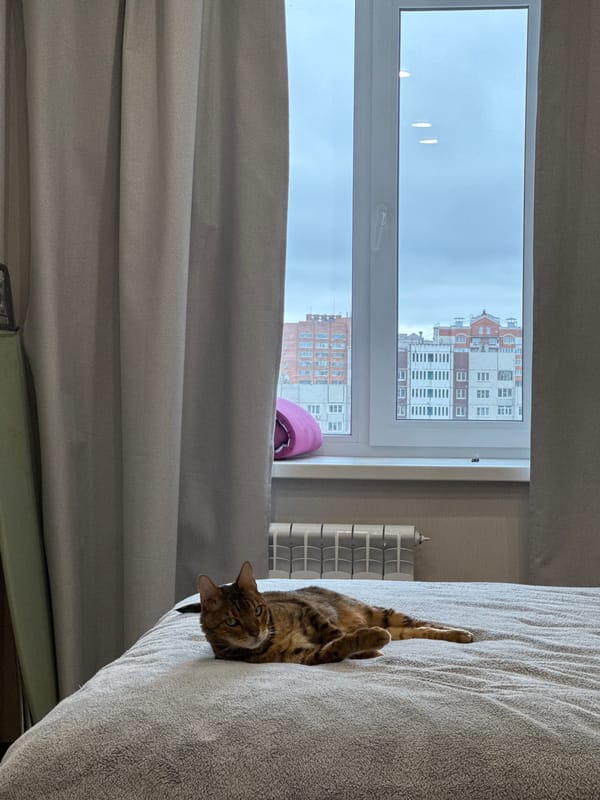 Woman and tabby cat share quiet indoor moments