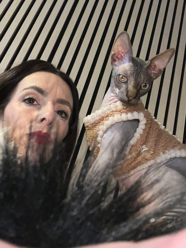 Woman shares snack time with sweater-wearing Sphynx cat in Germany