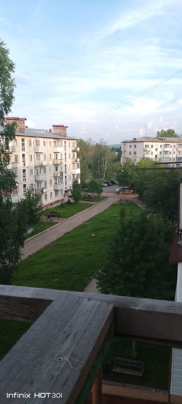 Cats on balconies, a bee-backpack dog, quiet Siberian afternoon