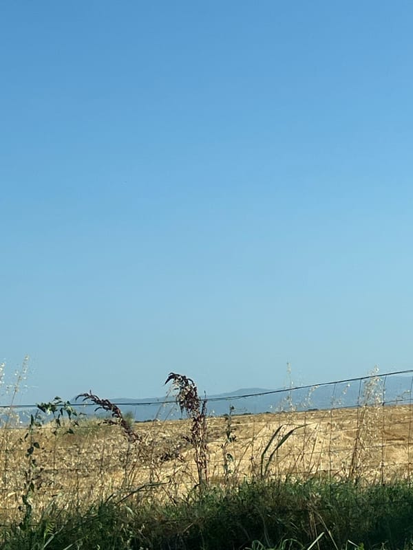 Dry rural field and fence under blue skies in Benkovski