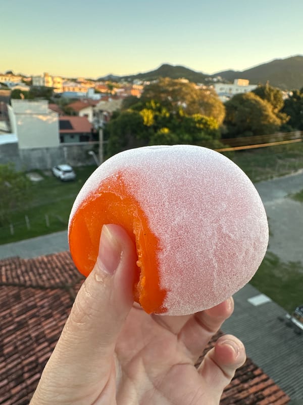Evening moments captured across Florianópolis neighborhoods and skies