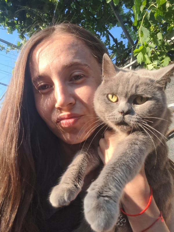 Grey cat hanging out in Vypasne, Ukraine