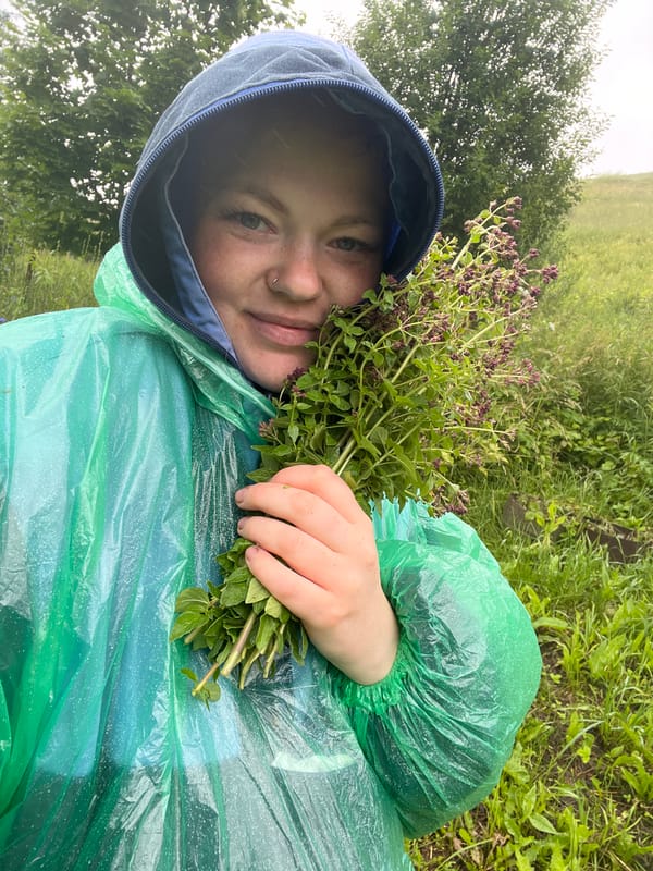 Rainy summer morning foraging and exploring in rural Ольховка