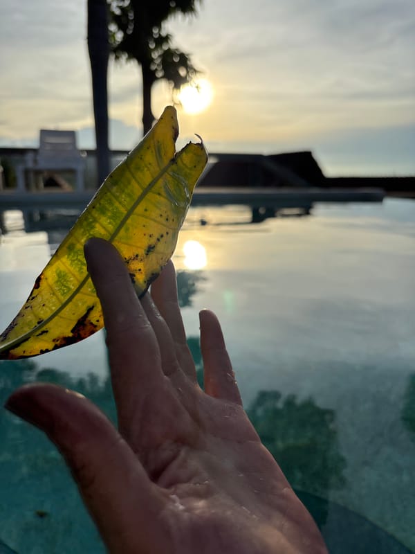 Lazy pool day at a Thai resort in Koh Samui